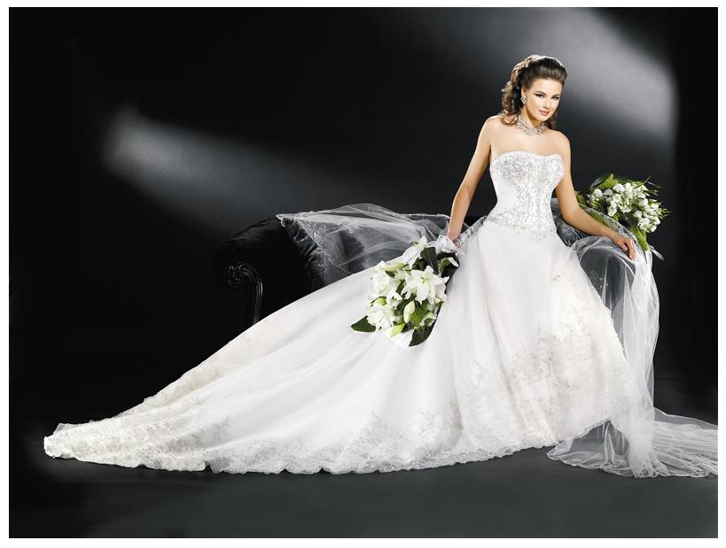 Orifashion Handmadestrapless wedding dress / gown 275